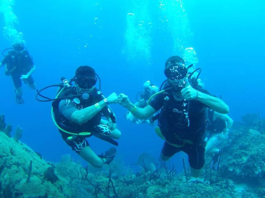 diving without a license catalina island from punta cana - Catamaran time: the ride you’ll actually feel