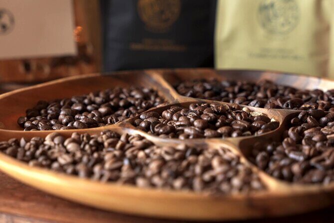 Dominican Coffee Tasting and Pairing Experience - Who this tour fits best (and who should skip it)
