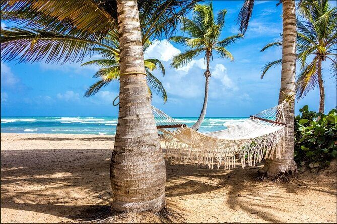 Dominican countryside, culture and beach escape with lunch - The Countryside Drive: School, Plantations, and Roadside Real Life