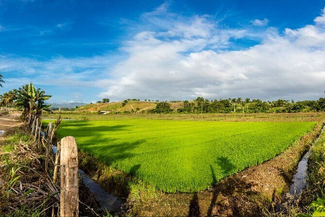 Dominican countryside, culture and beach escape with lunch - Pace, Comfort, and Who This Tour Fits Best