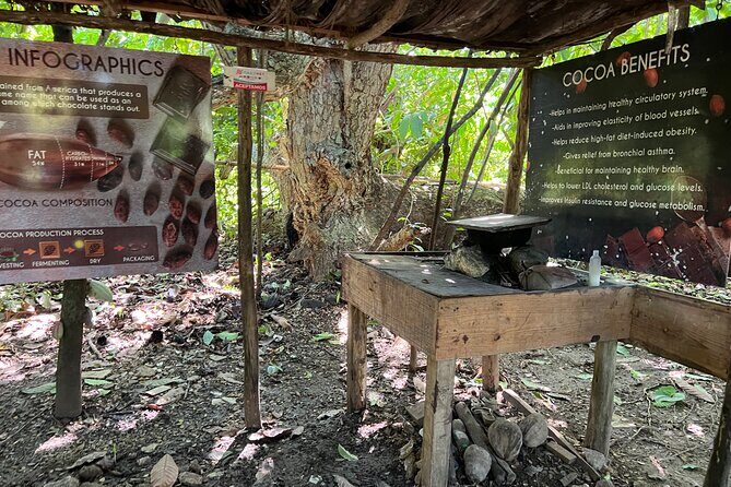 Dominican Culture Tour - Who This Tour Fits Best in Punta Cana