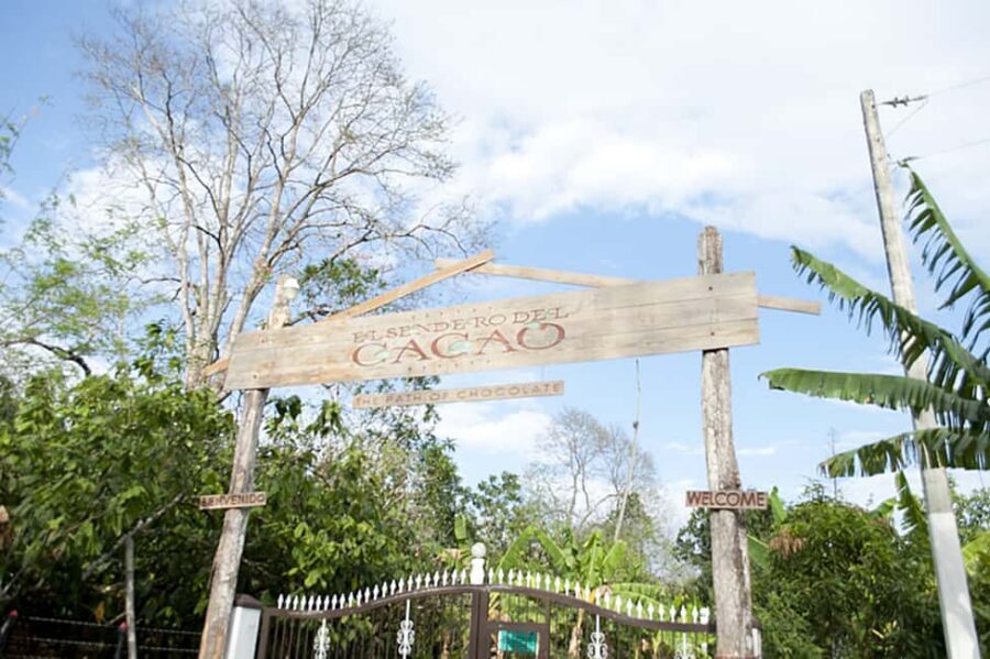 Dominican Republic: 3-Hour Chocolate Lovers Tour - Key highlights that make this cacao tour worth your time