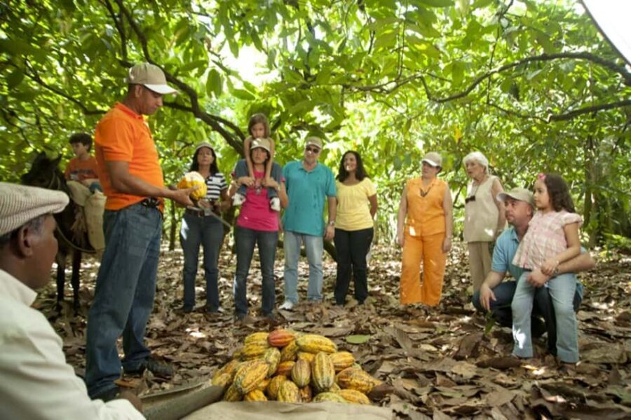 Dominican Republic: 3-Hour Chocolate Lovers Tour - Kahkow Experience in Duarte: a chocolate tour with real process (not just samples)