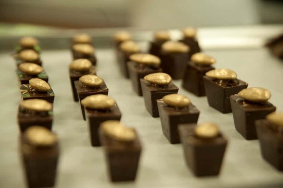 Dominican Republic: 3-Hour Chocolate Lovers Tour - The organic cacao plantation: sowing your own plant and learning the basics