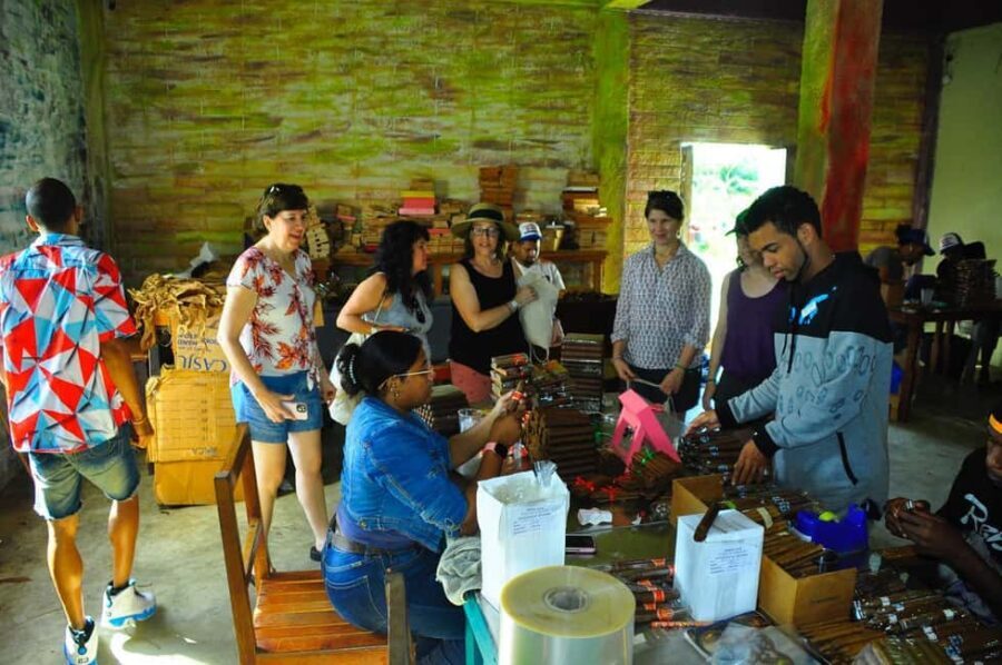 Dominican Safari from Punta Cana - Tips to make the day smoother (and more comfortable)