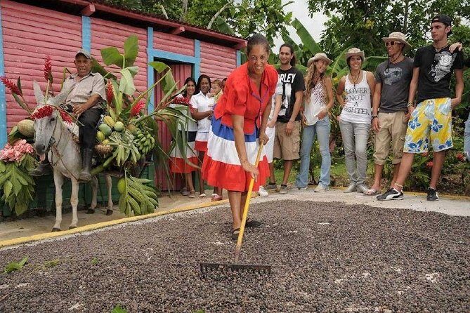 Dominican Safari Half Day... - Getting to Higüey: pickup and timing that you should plan around