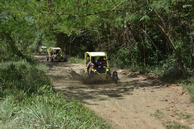 Dune Buggies Adventure - Who this dune buggy tour is best for
