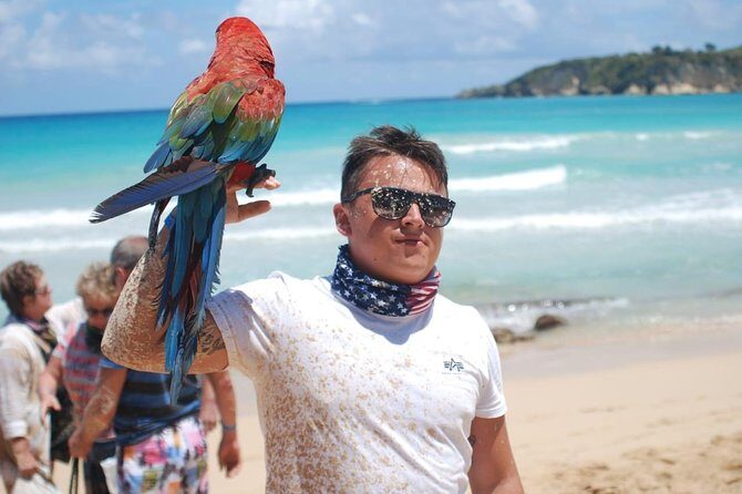Dune Buggy Adventure by Caribbean Tour Service - Who This Tour Suits Best (and Who Might Want Another Option)