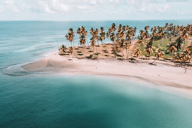 ECO TOUR Playa El Limon (Excursion Multi-activites) - Key takeaways before you go