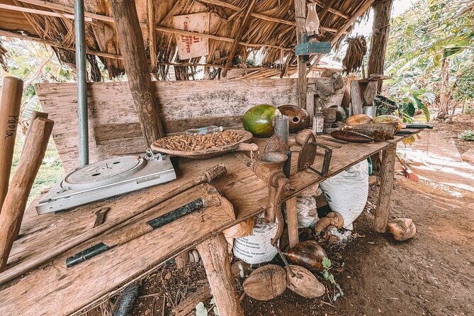 ECO TOUR Playa El Limon (Excursion Multi-activites) - Price and logistics: what $149 buys you in real terms