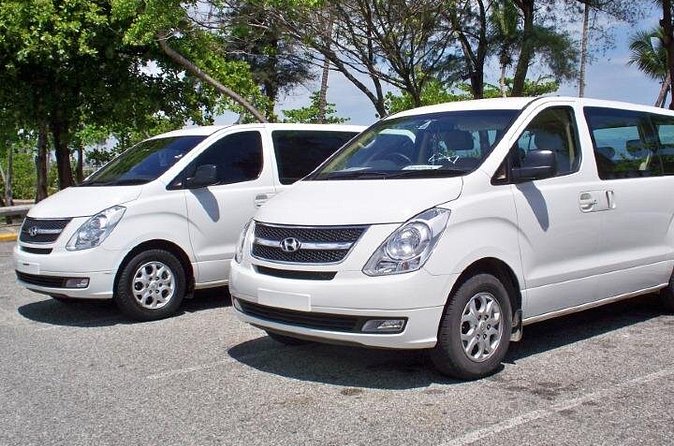 Effortless Airport Transfers in Punta Cana - What to do if pickup timing goes sideways (the one caution from feedback)