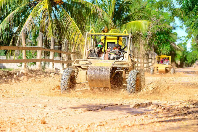 Enjoy ATV and Buggy Without Limits - Key Things to Know Before You Go