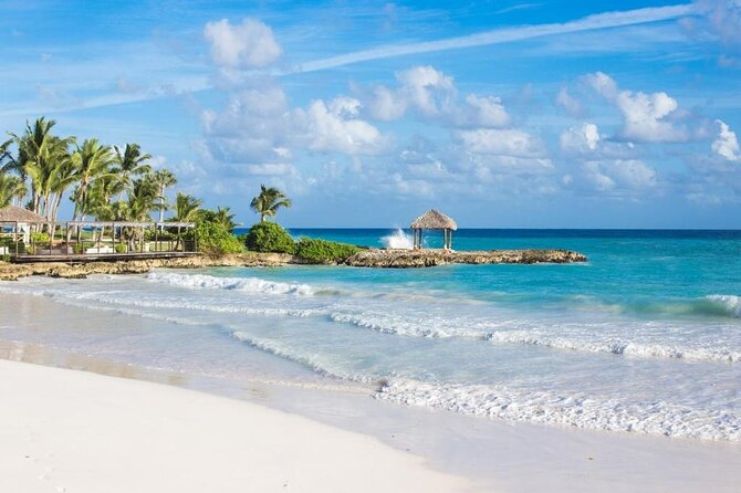 Excelence El Carmen - Round Trip Shuttle - Punta Cana Airport - Private Shuttle From Punta Cana Airport to Excellence El Carmen: What You’re Really Buying