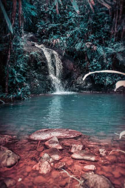 Exclusive Puerto Plata Waterfalls for groups up to 6 People - The main event: swimming, jumping, and sliding through limestone pools