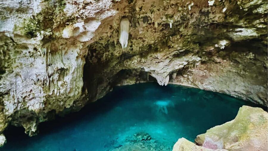 Exclusive VIP Excursion: Santo Domingo from Punta Cana – Private Service - Lunch and your own time in Ciudad Colonial