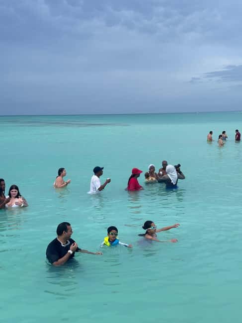 Excursión a Isla Saona desde Punta Cana (Todo incluido). - Snorkeling and Marine Life: What to Expect Without Overpromising