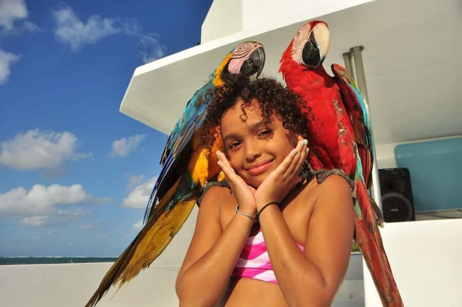 Excursión a Isla Saona desde Punta Cana (Todo incluido). - Beer, Whiskey Tasting, and Lunch: The Included Food and Drinks Reality Check