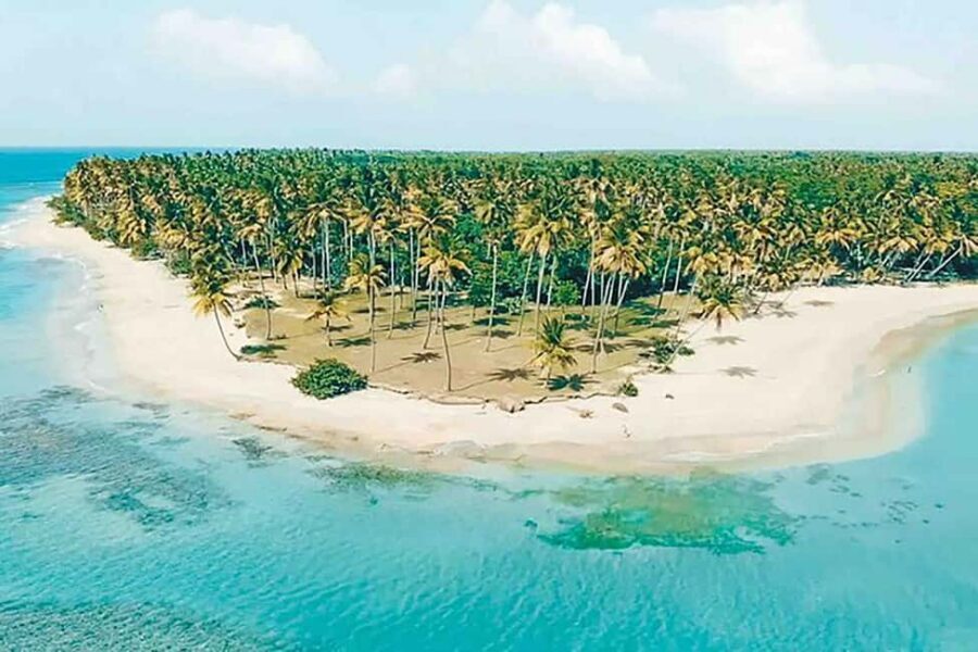 Excursion Round Mountain and Virgin Beach from Punta Cana - Typical Dominican Lunch: Local Fuel for a Half-Day Tour
