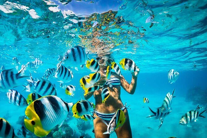 Excursion to Catalina Island and Snorkeling from Punta Cana - Punta Cana to Catalina: the Paraíso cruise starts early