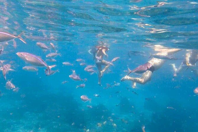 Excursion to Catalina Island and Snorkeling from Punta Cana - Getting there and timing: what can affect your snorkeling time