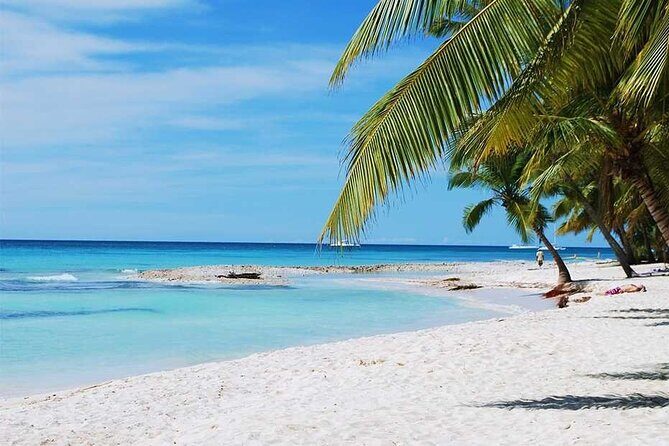 Excursion to Catalina Island and Snorkeling from Punta Cana - Who should book—and who should skip