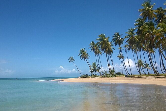 Excursion to Montaña Redonda and Playa Esmeralda from Punta Cana - The peak walk and photo time: keep it practical