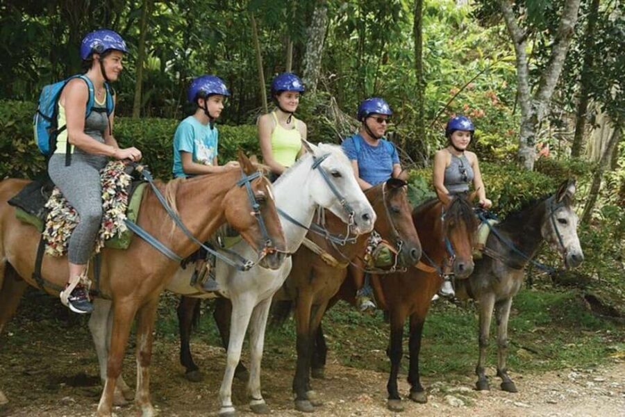 Excursion to Samaná, El Limón Waterfall and Bacardi Island from Punta Cana - Practical packing tips that actually help on this route