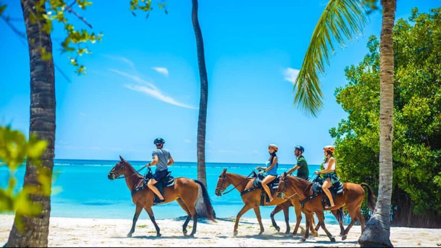 Exhilarating Buggy Tours: Discover Punta Cana Scenic Wonders - Getting Started in Punta Cana: Pickup and the First Buggy Rules
