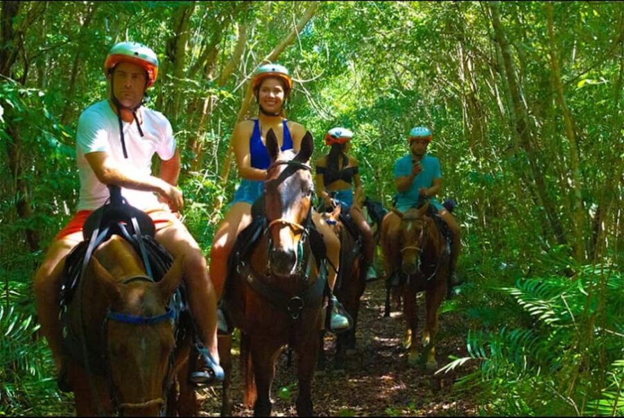 Exhilarating Buggy Tours: Discover Punta Cana Scenic Wonders - Indigenous Springs Cenote: Underground Swim Time in Turquoise Water