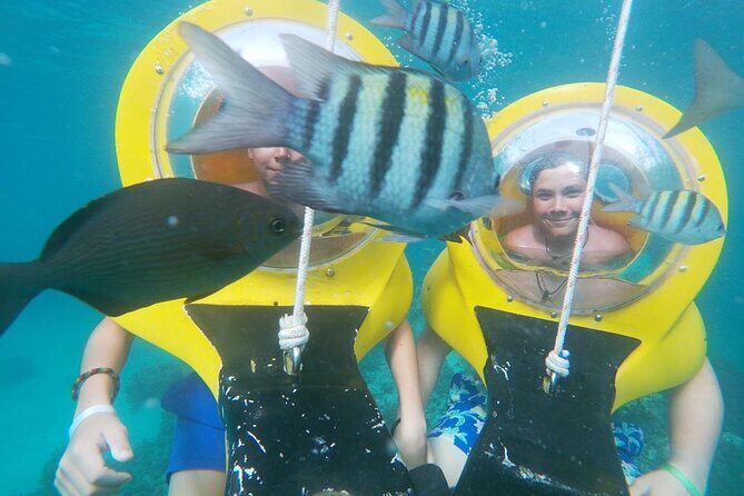 Experience a Submarine Scooter with ScubaDoo Punta Cana - In the water: reef life at shallow depth, plus shipwreck chances