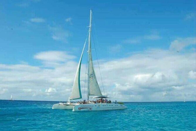 Experience Full Day Tour of Tropical Bliss at Isla Saona - Crowds and sellers: how to handle Saona without losing your calm