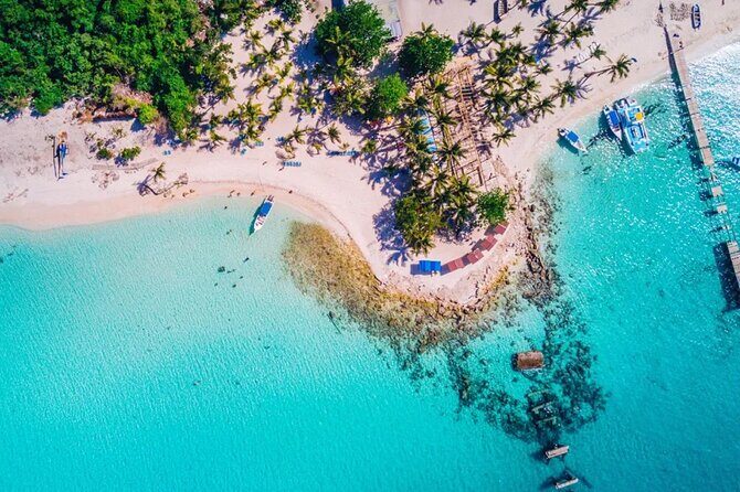 Experience Full Day Tour of Tropical Bliss at Isla Saona - Isla Saona beach time: where the tour earns its tropical hype