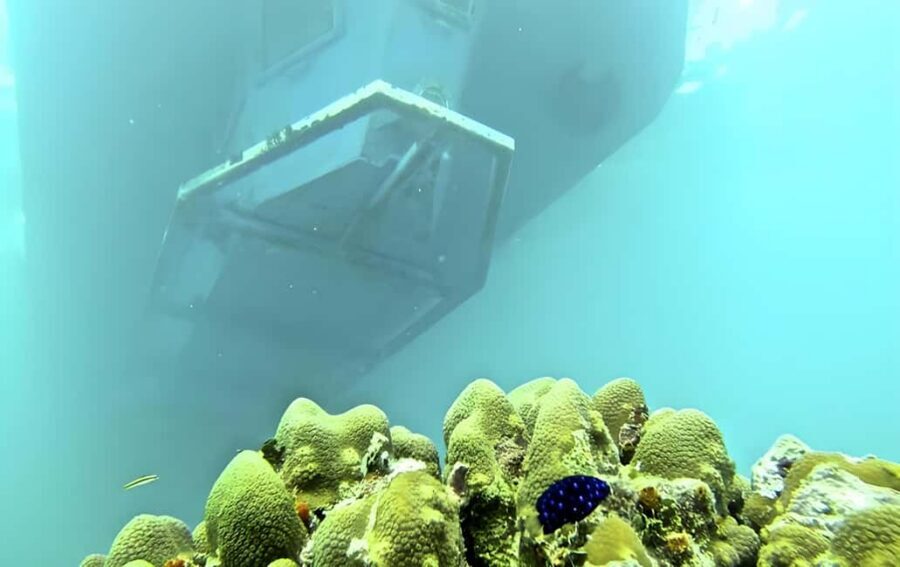 Experience the Exciting Caribbean Underwater World - Who Should Book This Tour—and Who Might Want Another Option