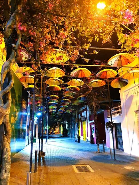 Experience the Nightlife: Puerto Plata + Sosua + Cabarete - The Puerto Plata route: cathedral market, umbrellas, Pink Street, and St. Philip