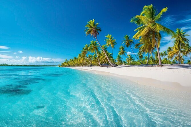 Explore Catalina Island & Snorkeling Adventure from Punta Cana - Key things to know before you go