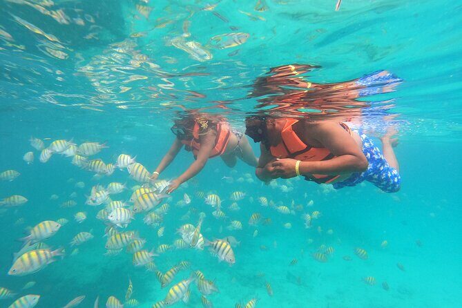 Explore Catalina Island & Snorkeling Adventure from Punta Cana - Catalina Island beach time on the west side: lunch, drinks, and downtime