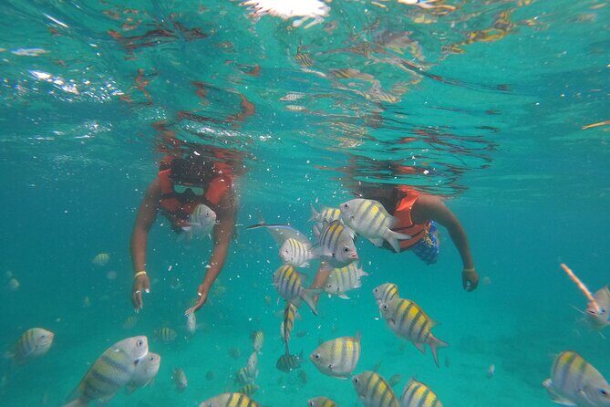 Explore Catalina Island & Snorkeling Adventure from Punta Cana - Boat ride atmosphere: music, entertainment, and the crowd factor
