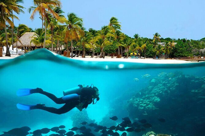 Explore Catalina Island & Snorkeling Adventure from Punta Cana - Who this tour fits best (and who should think twice)