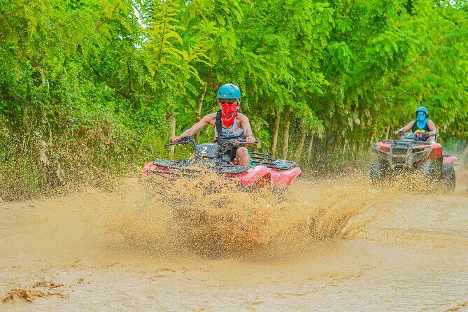 Explore Punta Cana in Buggy - The Dominican House Tasting: Coffee, Cacao, and Mamajuana