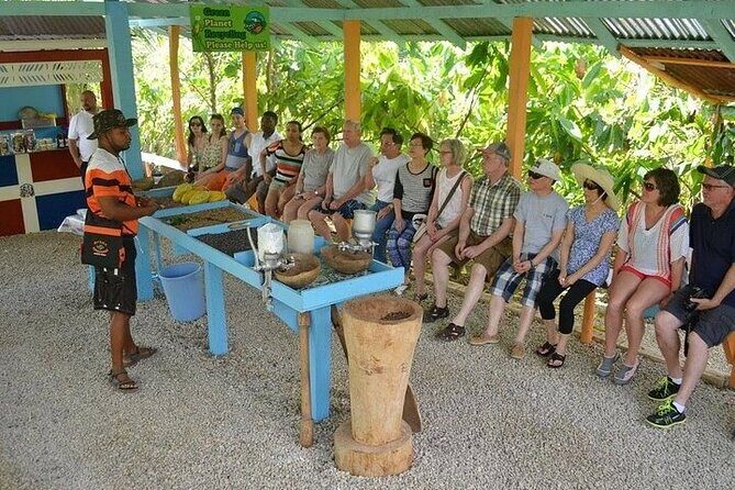 Extreme Buggy Adventure from Punta Cana - A 3.5-Hour Plan Built Around Driving, Tasting, and Swimming
