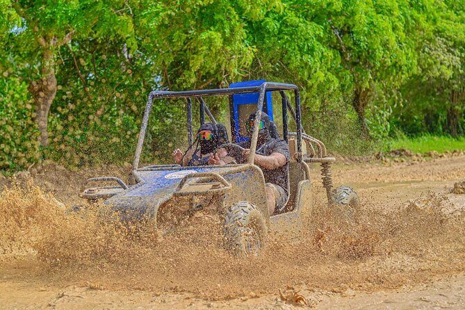 Extreme Buggy Tour in Punta Cana + River Cave + Macao Beach - Price, Duration, and What You Actually Get for $39