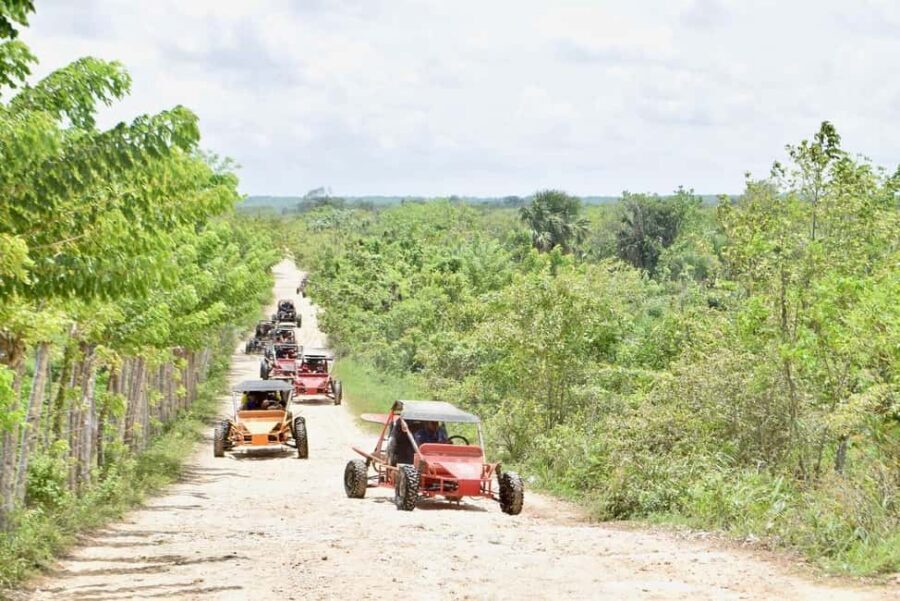 Extreme Dune Buggy Adventure in Macao Beach & Cenote - Macao Beach stop: 3 hours for sand, photos, and a cooldown