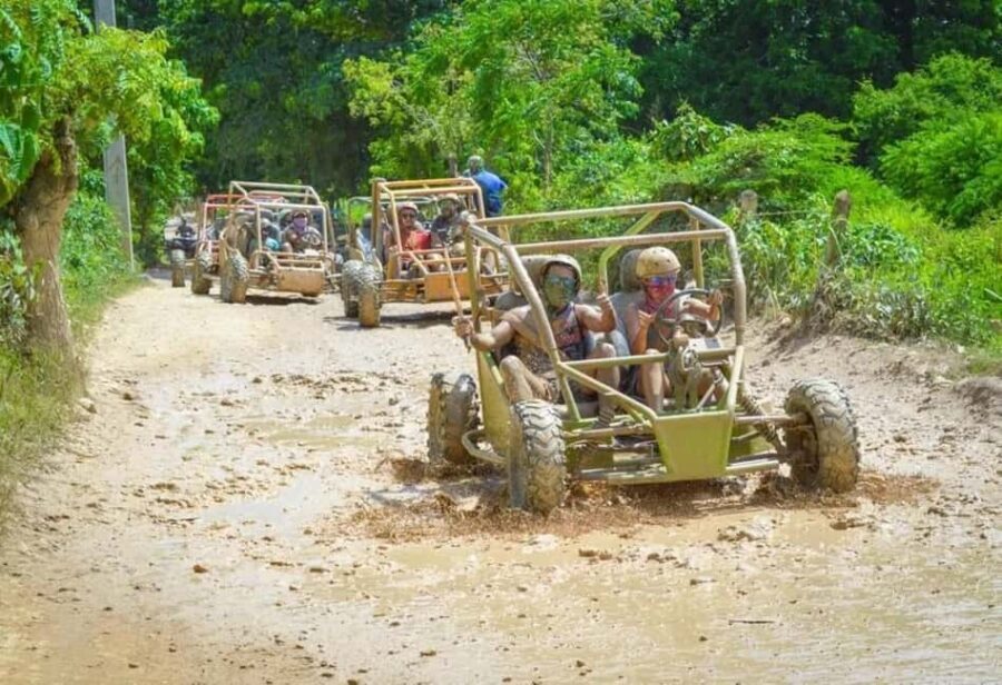 Extreme Dune Buggy Adventure in Macao Beach & Cenote - Pickup van logistics: why that 2-hour ride sets your expectations