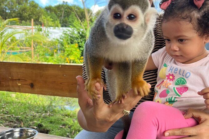 Family ATV Tour & Monkey Private Van - Lunch in the middle: refuel like you mean it