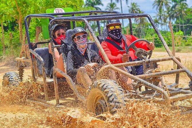Family Friendly ATV and Buggy Excursion in Punta Cana - Key highlights you’ll care about