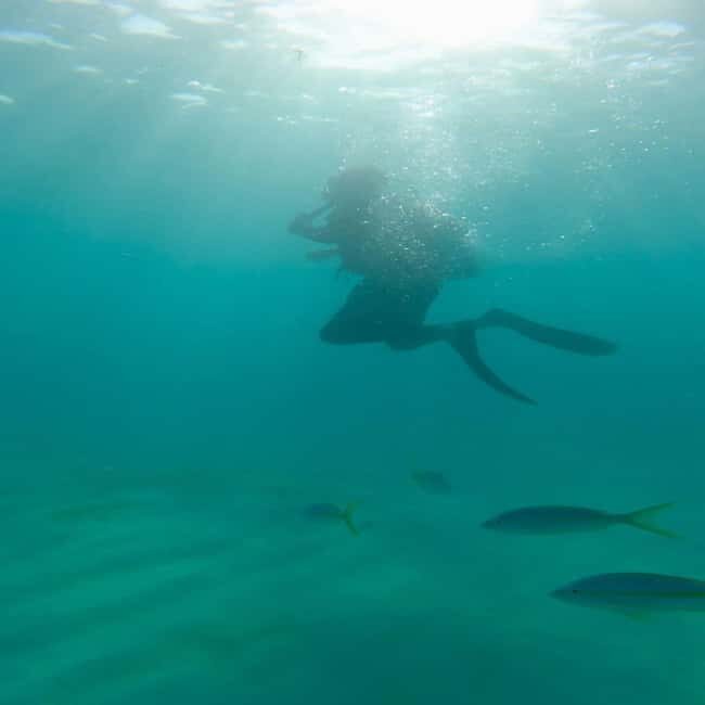 First Time Scuba Diving Experience in Punta Cana - How the Gear and Guide Support Your Comfort