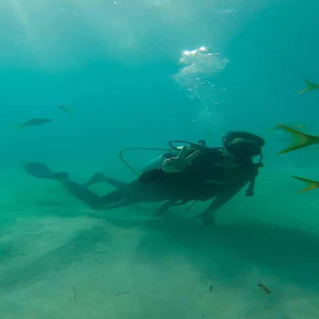 First Time Scuba Diving Experience in Punta Cana - Price and Value: Is $189 Reasonable for a First-Timer?