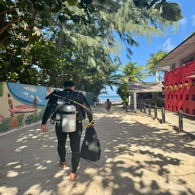 First Time Scuba Diving Experience in Punta Cana - First Hour: Learning Scuba Basics Without Certification Pressure