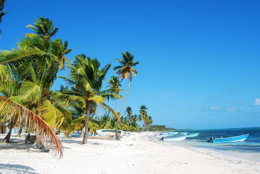 From Los Melones: Saona Island Day Trip with Lunch - Saona Island by catamaran: why this day trip works