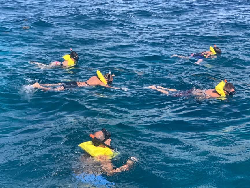 From Punta Cana: Catalina Island Swim, Sail & Snorkel - Price and value: is $79 per person worth it?